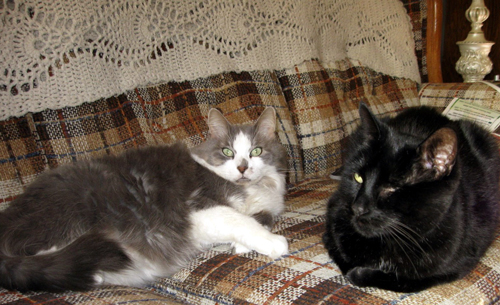 Nancy's Beasties: Cloud and Jimmy