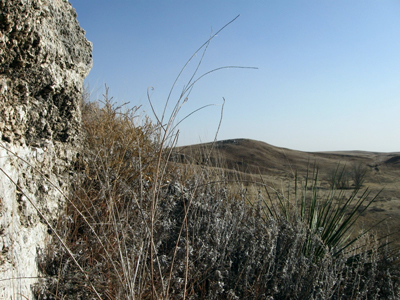 White Cliffs of Kansas